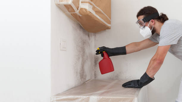 Professional Bathroom Mold Removal technician working in Seanor, PA