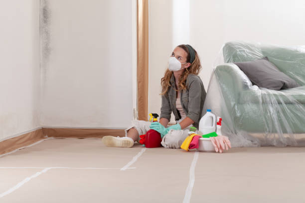 Reliable Bathroom Mold Removal contractor in Seanor, PA by WQB Mold Removal